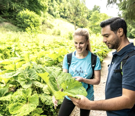 Ölmühle im Tiefenbachtal, © Eifel Tourismus GmbH