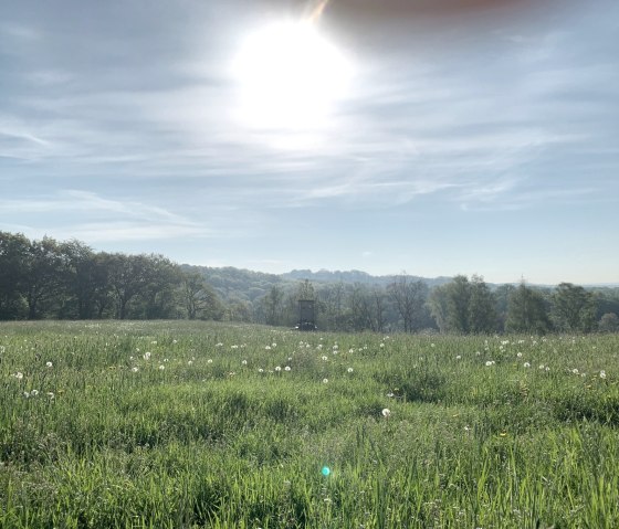 weite Aussichten entlang des Weges, © StädteRegion Aachen