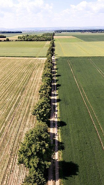 Agrippastraße bei Erftstadt, © Unbekannt