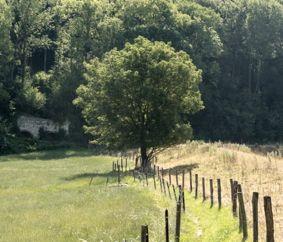 Kalkofen-Wanderung, © Grünmetropole e.V.