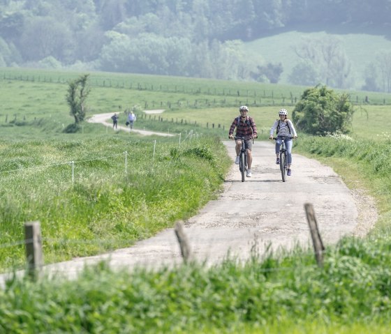 Radweg in der Nähe von Seffent, © Eifel Tourismus GmbH