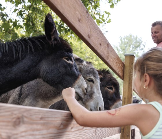 Tierpark Alsdorf, © Eifel Tourismus GmbH