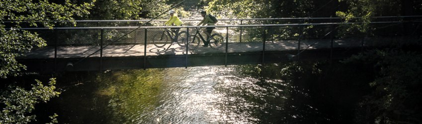 Radfahren im Nationalpark Eifel