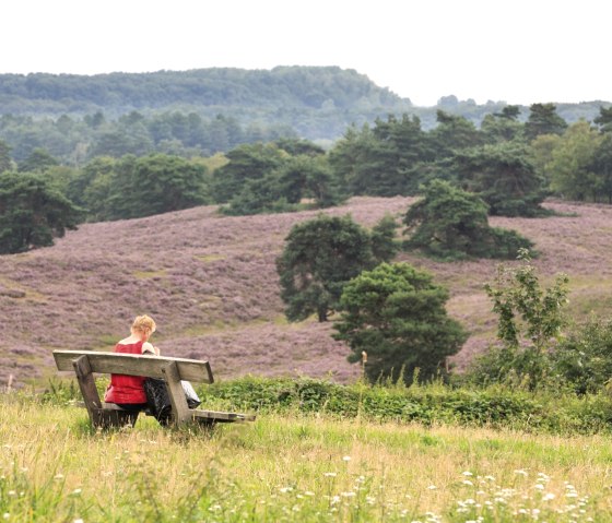 Brunssummerheide, © Visit Zuid Limburg