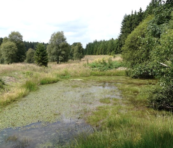 Moorlandschaft im Fuhrtsbachtal, © StädteRegion Aachen