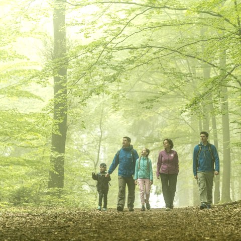 Hikers in the Aachen Forest, © StädteRegion Aachen