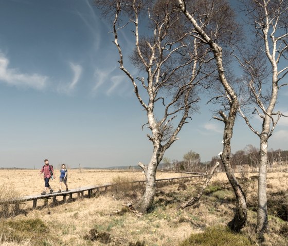 Wanderer im Hohen Venn, © StädteRegion Aachen