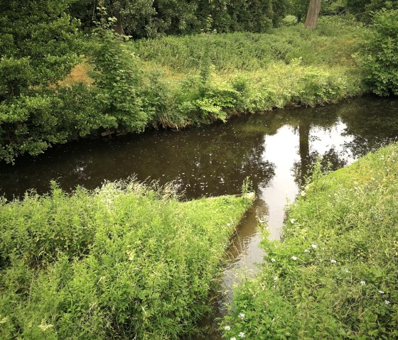 Mündung Omerbach, © NaturFreunde NRW