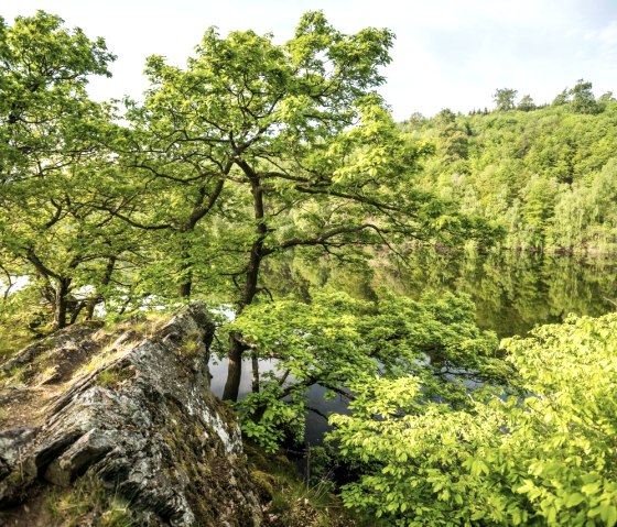 Rurseeufer, © StädteRegion Aachen