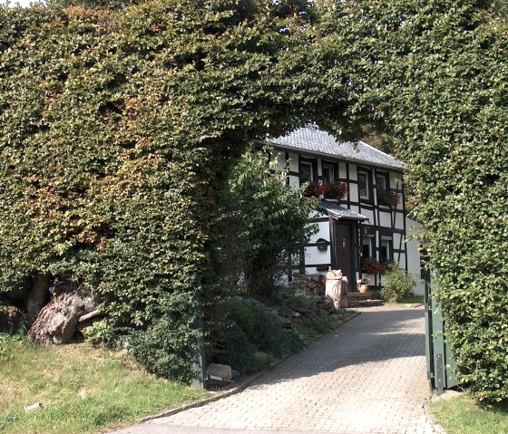 Vennhof mit Hecke, © Bernd Läufer