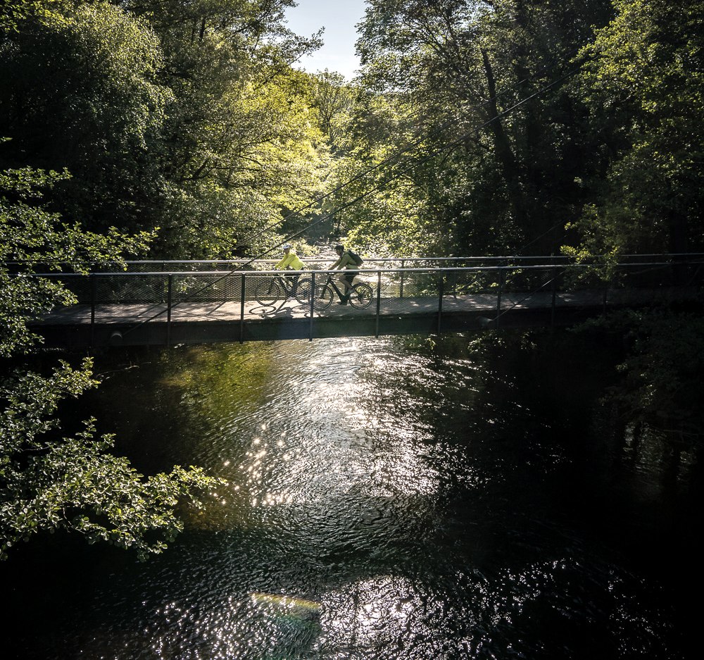 Radfahren im Nationalpark Eifel