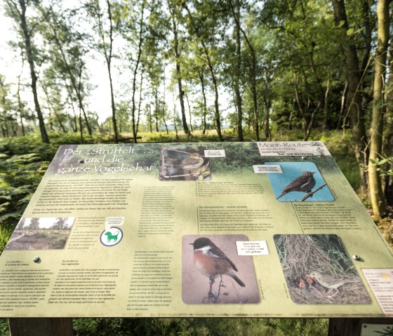 NSG Struffelt, © Eifel Tourismus GmbH