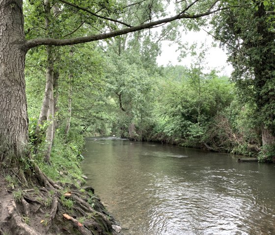 Spazieren entlang der Wurmauen, © StädteRegion Aachen