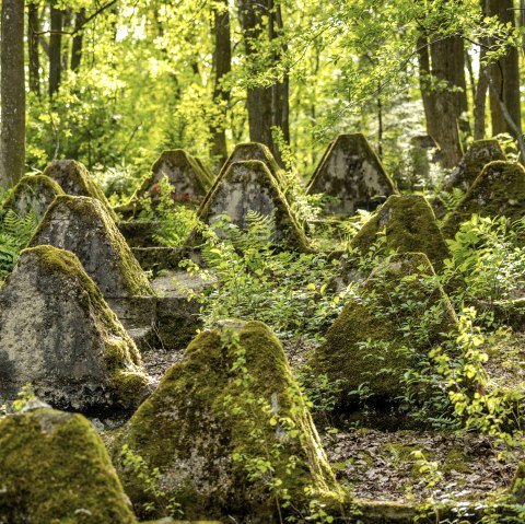 Westwall bei Roetgen, © Eifel Tourismus GmbH; Foto: Dominik Ketz