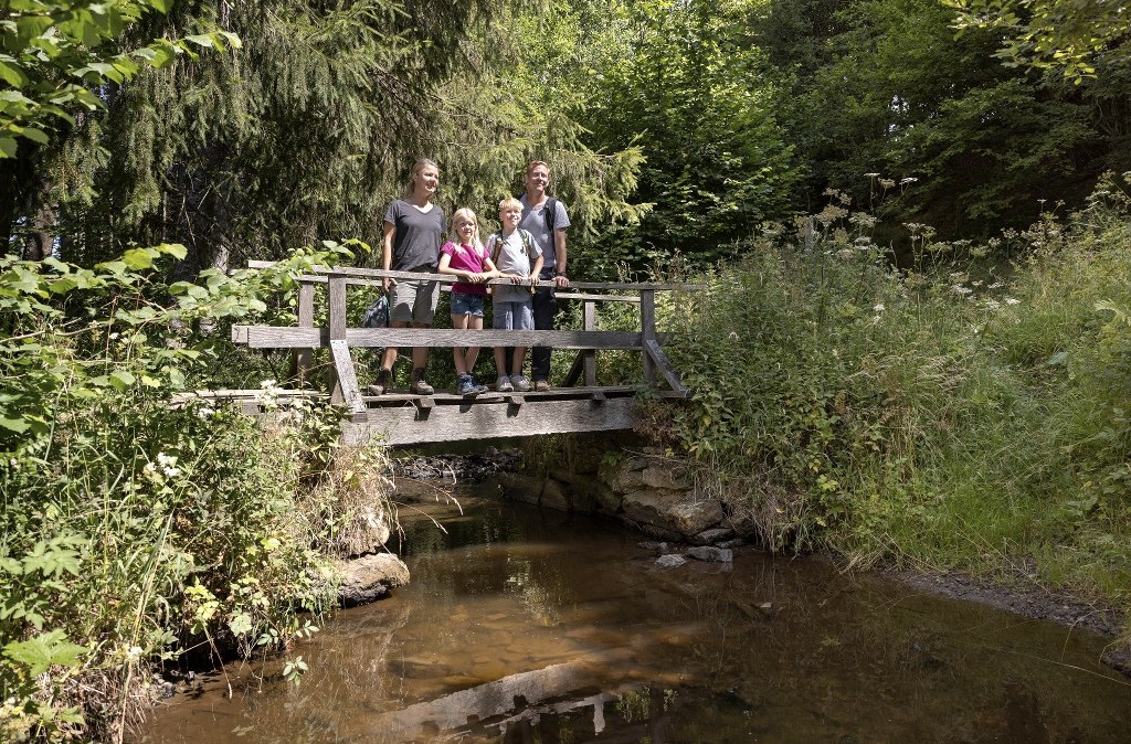 Brücke am Kaiser Karl Weg, © Eifel Tourismus GmbH