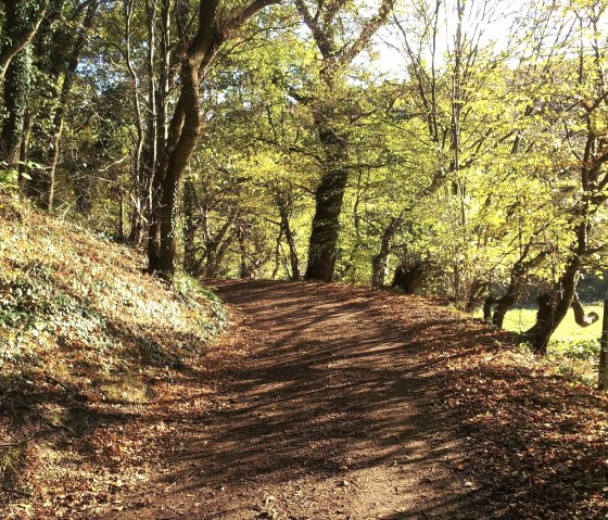 Wanderweg, © Stadt Würselen