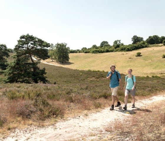 Brunssummerheide, © Grünmetropole e.V.