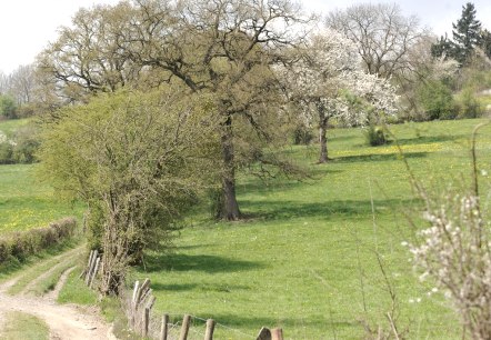 Wandern in Hanglage, © Tourismusagentur Ostbelgien