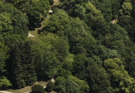 Aachener Wald, © StädteRegion Aachen