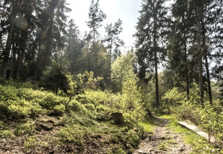 Belgenbachtal, © StädteRegion Aachen