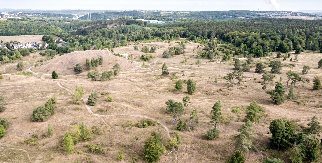 Naturschutzgebiet Schlangenberg, © Eifel Tourismus GmbH