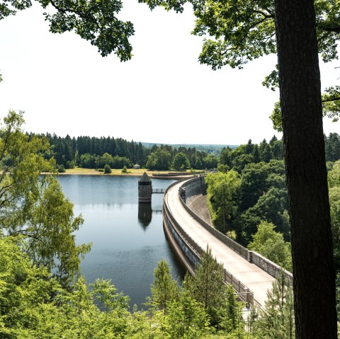 Dreilägerbachtalsperre Roetgen, © Eifel Tourismus GmbH; Foto: Dominik Ketz