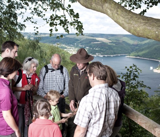 Ausblick auf Rursee, © J. Cornesse