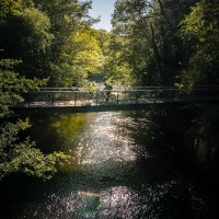 Radfahren im Nationalpark Eifel