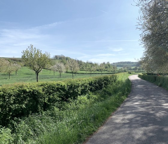 Radeln durchs Heuvelland, © StädteRegion Aachen