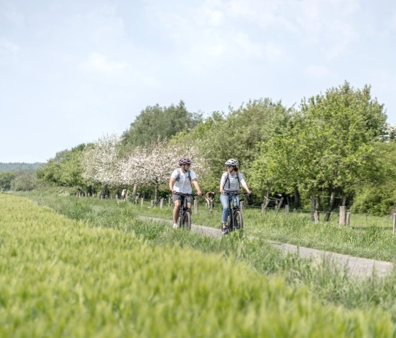 Radweg bei Orsbach, © Eifel Tourismus GmbH