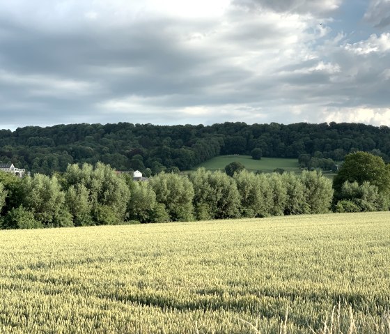 weite Aussichten entlang des Weges, © StädteRegion Aachen