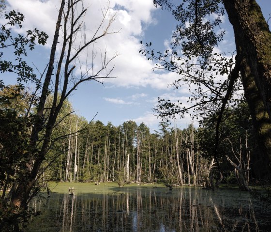 Broichbachtal Alsdorf, © Eifel Tourismus GmbH