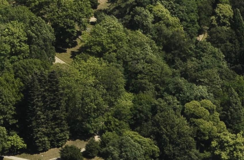 Aachener Wald, © StädteRegion Aachen