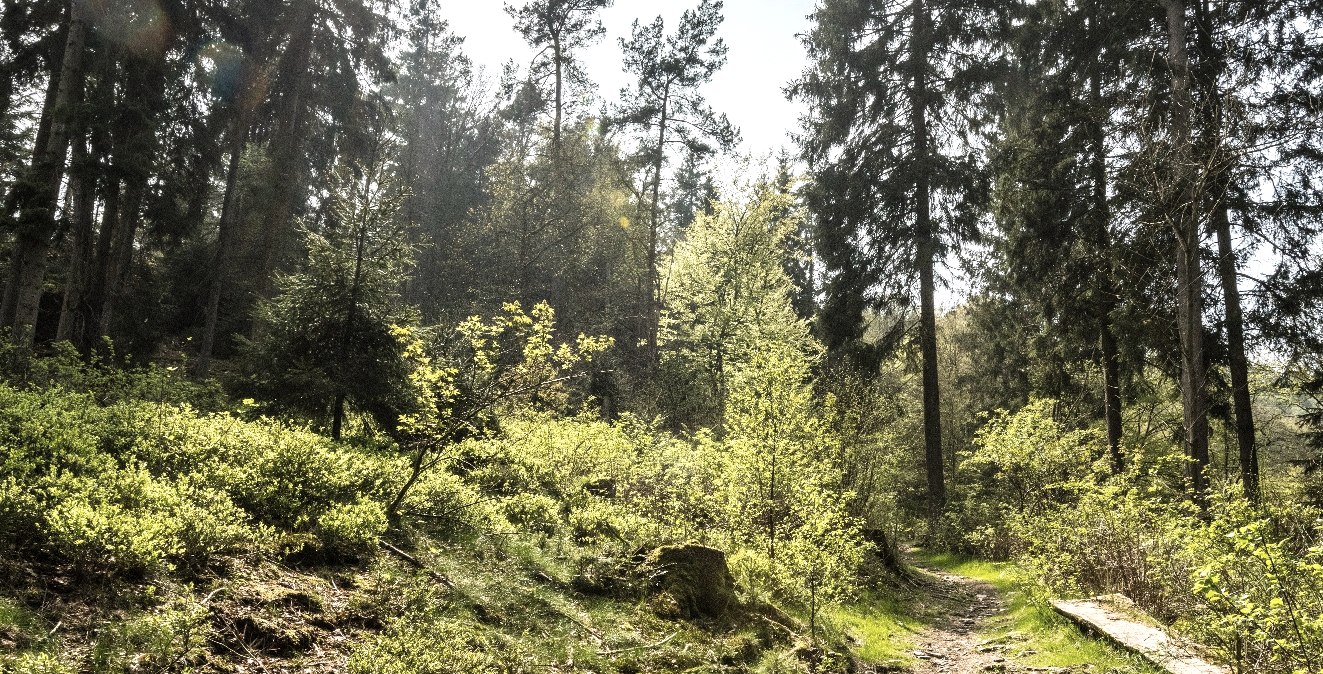 Belgenbachtal, © StädteRegion Aachen