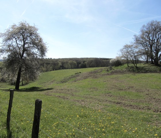 Wiesenlandschaft Eifel, © StädteRegion Aachen