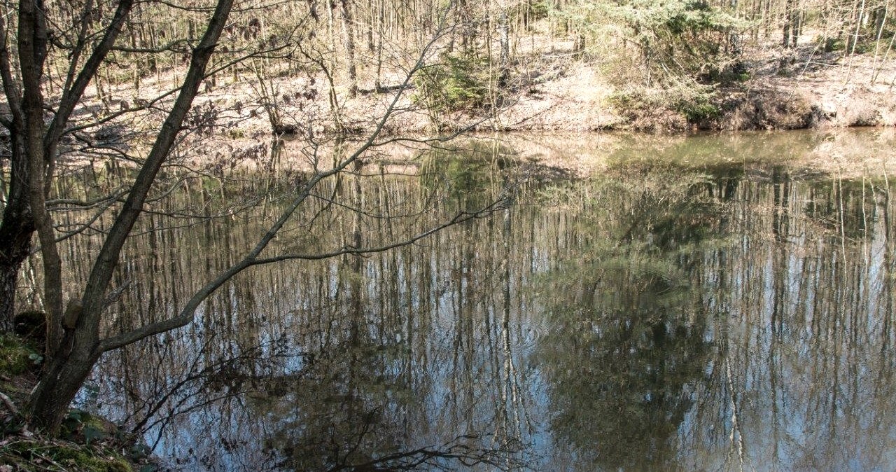 Teich beim Omerbach, © Eifelverein e. V.