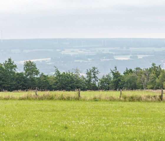 Aussicht vom Eifel-Blick Steling, © Eifel Tourismus GmbH, AR-shapefruit AG