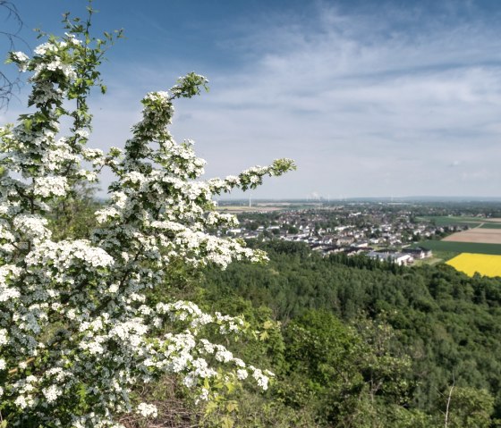 Ausblick über die Grünmetropole, © StädteRegion Aachen