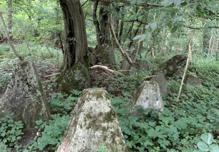 Überbleibsel des Westwalls, © StädteRegion Aachen