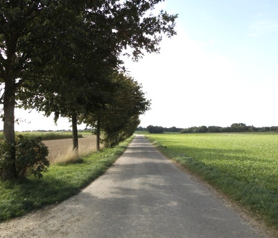 Via Belgica in Übach-Palenberg, © Unbekannt