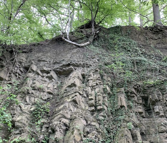 alter Steinbruch mit Kohlestückchen, © StädteRegion Aachen