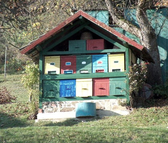 buntes Bienenhaus, © StädteRegion Aachen