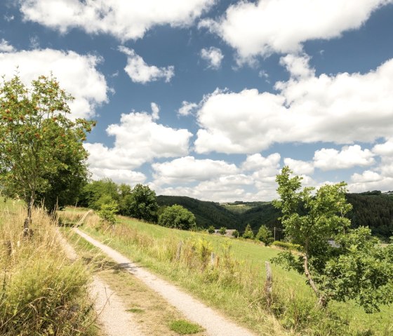 Eifelsteig bei Dedenborn, © Eifel Tourismus GmbH