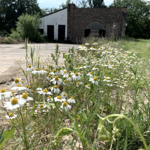 Schachtgebäude Langenberg, © StädteRegion Aachen