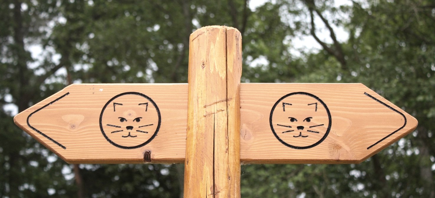 Wilderness trail signage, © Nationalparkverwaltung