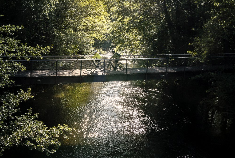 Radfahren im Nationalpark Eifel