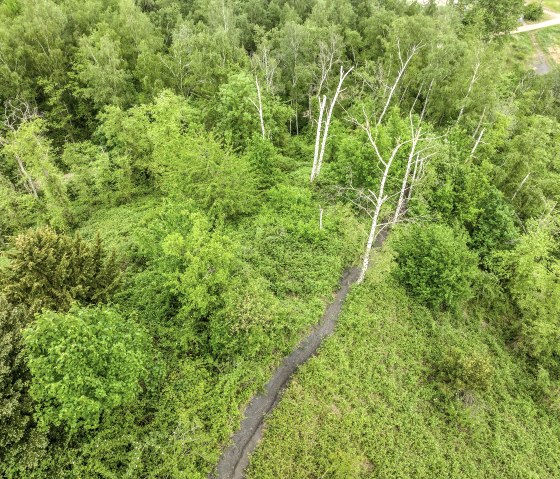 Halde Grube Adolf, © StädteRegion Aachen