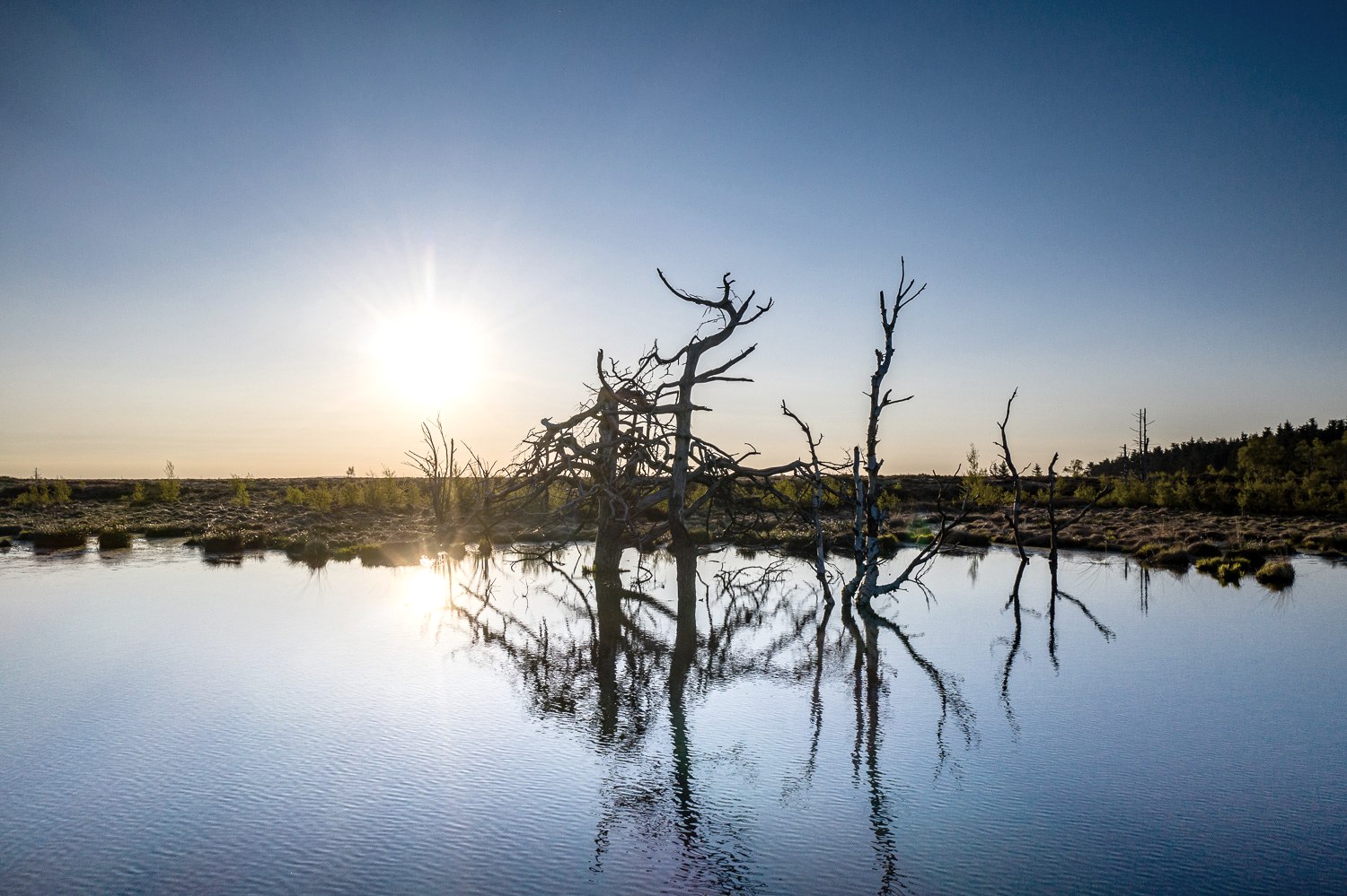 Hohes Venn - Abendstimmung, © Dennis Stratmann