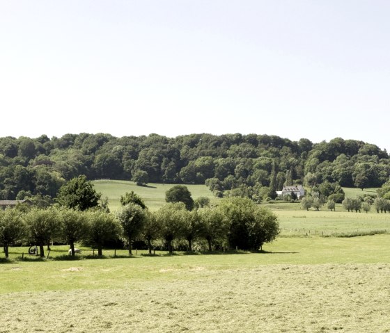 Lousberg und Soers, © Anja Schlamann