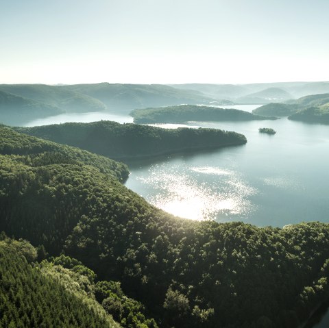 Luftbild des Rursees bei Woffelsbach, © Dominik Ketz